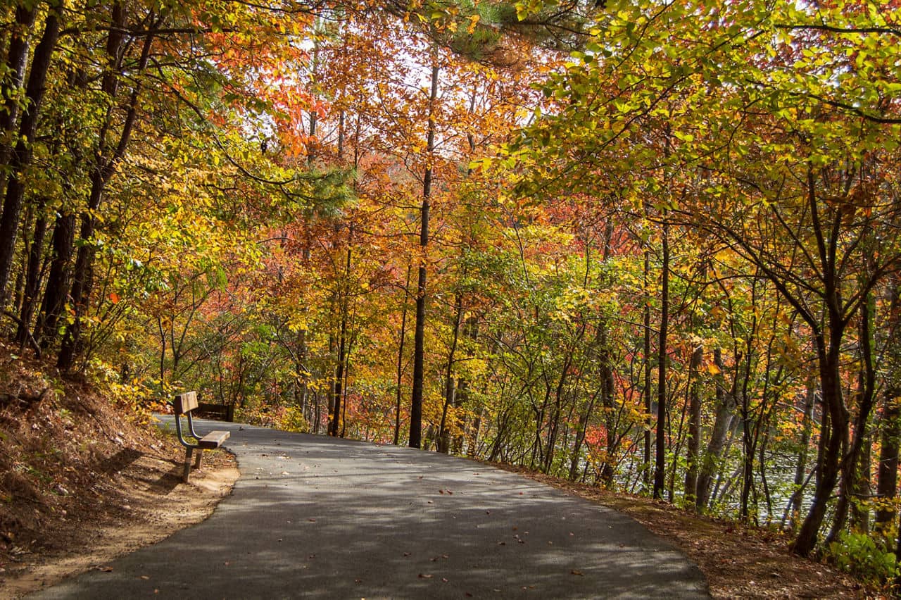 Paved walking trail in Gwinnett County, GA winding through colorful autumn trees with red, orange and yellow foliage.