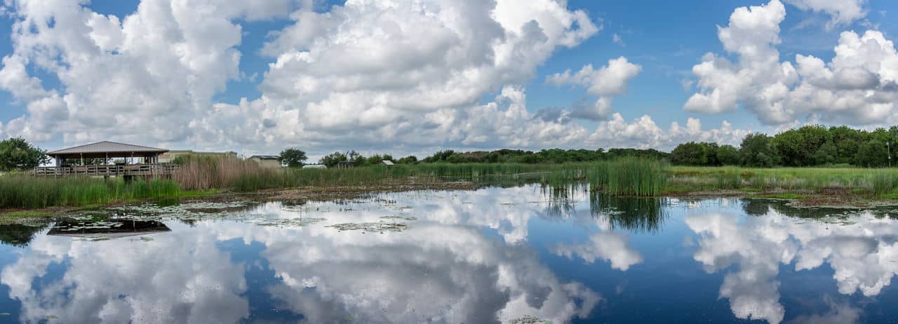 Part of the Big Slough from the boardwalk in the Brazoria National Wildlife Refuge