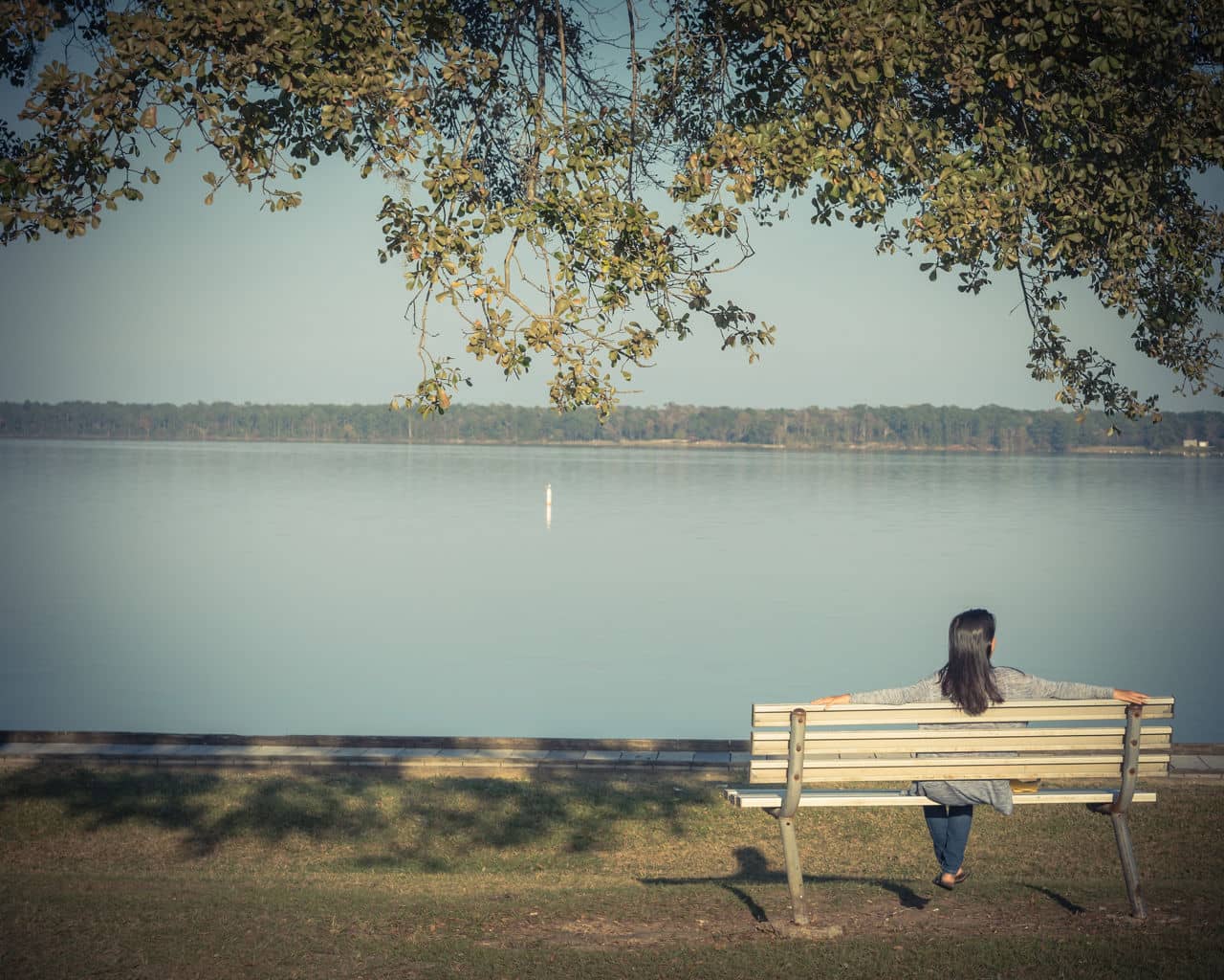 View of lake in North Houston Texas